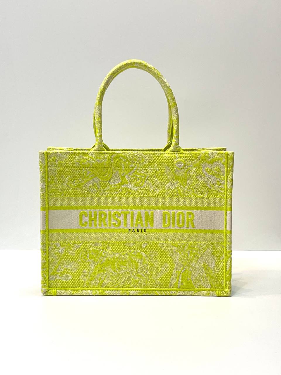 Сумка Christian Dior